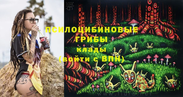стаф Арсеньев