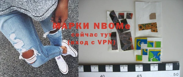 индика Алзамай