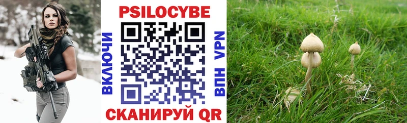 Купить закладки  Сураж  Галлюциногенные грибы ЛСД 